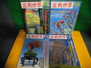 盆栽世界　2006年9月〜12月号の4冊セット