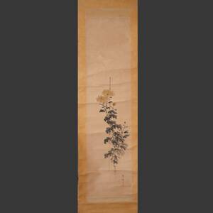 作者不明 ◆ 掛軸 黄菊 花鳥図 絵画 日本画 古美術 40-11