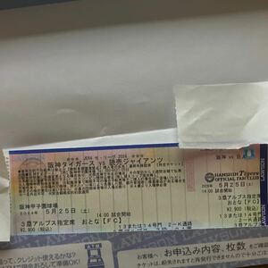5/25（土）甲子園 阪神VS巨人 3塁アルプス指定席