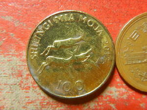 外国・タンザニア／１００シリンギ黄銅張りスチール貨（2012年）　24041802