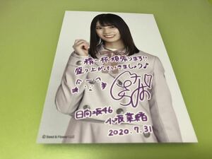 日向坂46 小坂菜緒 オンラインライブ ～“22人”の音楽隊と風変わりな仲間たち～ メッセージポストカード 1種 1枚 FC会員限定特典