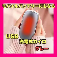 ❤️最終価格❤️ 充電式　カイロ USB 電気カイロ   モバイルバッテリー  防寒