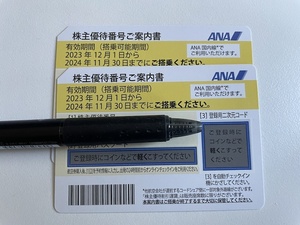 ANA株主優待券 2枚(2024年11月30日期限 ）