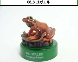 08. タゴガエル 田子蛙 BIRDTALES2 森と清流 ボトルキャップ 海洋堂 検非売品 バードテイルズ フィギュア チョコQ チョコエッグ 松村しのぶ