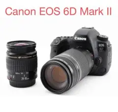 Wi-Fi/動画/Canon EOS 6D Mark II標準&望遠レンズセット