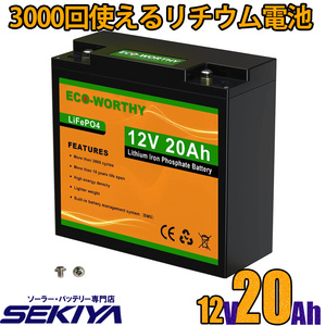 3000回使える 20AH リチウムイオンバッテリー 12V 256Wh バッテリー リン酸鉄 リチウム電池 lifepo4 ディープサイクル EcoWorthy SEKIYA