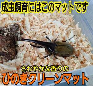 送料無料☆カブトムシ、クワガタの成虫飼育専用☆針葉樹クリーンマット☆ケース内が明るくなり生体が目立つ！ダニ、コバエも湧かなくなる！