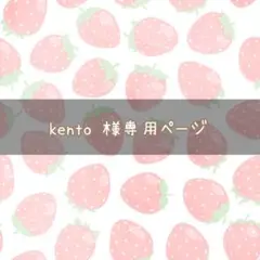 kento 様専用ページ
