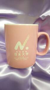 日本大学 ２００８年度 文理学部教育学科 謝恩パーティー　記念品マグカップ