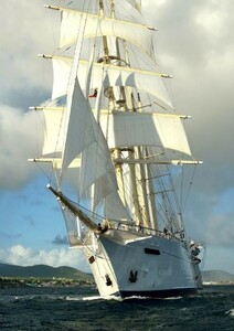 帆船 LADY of AVENEL UK クリッパー セーリング・シップ 航海 海 絵画風 壁紙ポスター 特大 A1版 585×830mm はがせるシール式 028A1