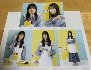 【6】乃木坂46 菅原咲月 生写真 バレンタイン 2024 フルコンプ