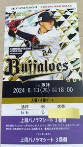 6月13日　6/13　オリックス対阪神　上段パノラマシート　1枚価格　京セラドーム大阪