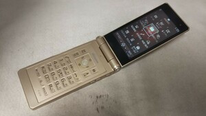 D5020 docomo FOMA F-07F FUJITSU 富士通/ガラケー/ケータイ 折畳式 簡易動作確認＆簡易清掃＆初期化OK 判定○ 現状品 送料無料　