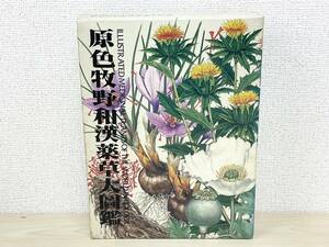 W539-T23-188 原色牧野和漢薬草大圖鑑 牧野富太郎 植物図鑑 北隆館 本 ⑥