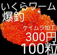 釣り　アジ　メバル　カサゴ　チヌ　トラウト　ニジマス　海釣り　穴釣り　ワーム