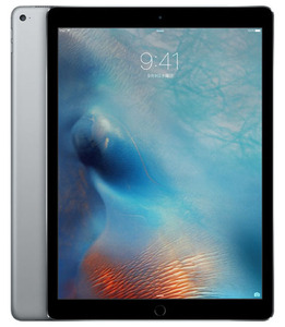 iPadPro 12.9インチ 第1世代[128GB] Wi-Fiモデル スペースグレ…