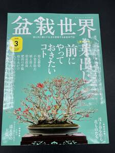 盆栽世界 2020年 3月　特集　芽出しの前にやっておきたいコト