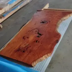 巨木欅一枚板