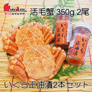 【かにのマルマサ】北海道産 活毛ガニ350g 2尾 北海道ぎょれん いくら正油漬90g 2本 海鮮セット