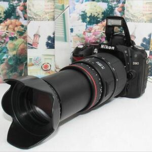 新品バッグ付きNikon D90 超望遠 300mm レンズセット