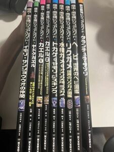 【絶版】ビジュアルガイドセット9冊 タランチュラムカデセンチピードサソリスコーピオンカエルガエルレオパヤモリリクガメサラマンダー