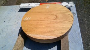 17-83　老木欅（ケヤキ）の乾燥丸材（尺１寸）・・丸盆・菓子器・皿・テーブル・机・ロクロ・挽きもの