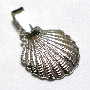 海のひそやかな宝 可愛い貝殻のシルバートップ チャーム 首飾 ペンダント 新品 迅速配達人気 d0922
