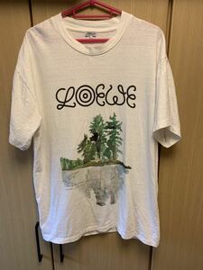 正規 18AW LOEWE ロエベ ロゴ 湖畔 ペイント Tシャツ 白 M A-28003861