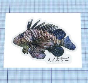 ★★ ミノカサゴ(Lionfish)のステッカー ★★ 日本語Ver. 左右約78mm×天地約55mm