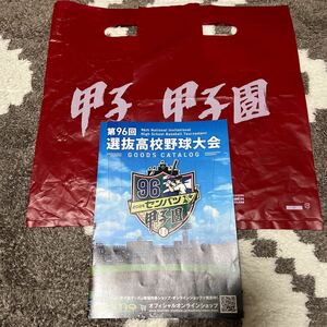 センバツ甲子園グッズカタログ　袋２枚　送料無料