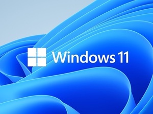 『【最新】Microsoft Windows 11 Pro 64bit DSP版 DVD 日本語 1台分【破格の価格】』