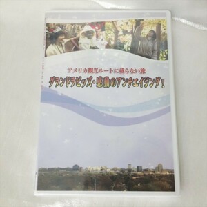 ★希少レア★ グランドラピッズ 感動のアンチエイジング DVD Amway
