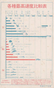 ●戦前絵葉書●各種最高速度比較表 帝国飛行協会 昭和13年●郷土資料 観光 明治 大正 昭和