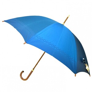 未使用 正規品 Christian Dior クリスチャンディオール 長傘 雨傘 ロゴ ブルー 男女兼用 タグ付き 本物保証 0428-064
