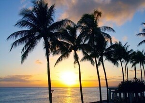 ワイキキビーチの日の出 朝陽 ヤシの木 ハワイ 海 絵画風 壁紙ポスター 特大A1版 830×585mm（はがせるシール式）004A1