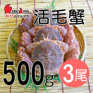 【かにのマルマサ】北海道産 活毛ガニ500g 3尾セット