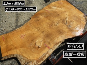 栓 セン 長231cmX巾63～125cmX6.7cm 変形 天然 無垢一枚板 巨木 幅広 座卓 テーブル 天板素材 乾燥材 アッシュ似 タモ代用