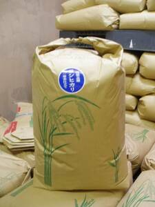 新米　令和5年産　愛知コシヒカリ 玄米30kgから玄米25kgに変更 【送料無料・一等米品質】