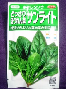 ★種子★処分★　どっさり ほうれん草　サンライト　Ｖ　サカタのタネ　22.05　◎大葉肉厚の多収品種♪　（ゆうパケット便可能）