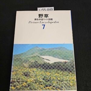 い55-049 野草 原色学習ワイド図鑑 Picture Encyclopedi a 7