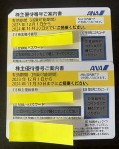 ANA 株主優待券（黄）　2枚セット 2024/11/30期限