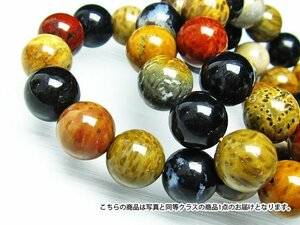 誠安◆天然石最高級品木化石ブレスレット 15mm [T798-4]