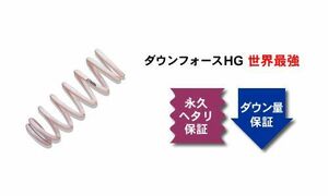 [ズーム]PA90 117クーペ用ダウンサス〔HG〕