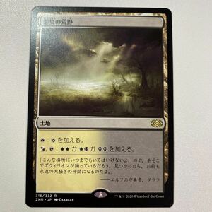 悪臭の荒野　日本語　MTG ダブルマスターズ 