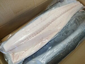 さわらフィーレ　10kg　800-1000gサイズ　鰆フィーレ　西京漬け 【水産フーズ】