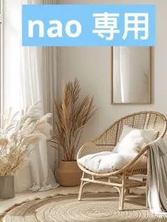 nao 専用