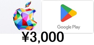 Apple Gift または Google Play 3000円分 コード通知