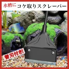 苔取りスクレーパー 替刃付き コケ 掃除 水槽 アクアリウム スクイージー 軽量