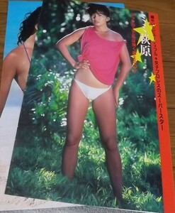 ☆70年代女優【ミミ萩原】 水着5ページ切抜き　送料140円