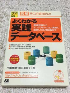 [Tech&Bizシリーズ] 図解　そこが知りたい！よくわかる実践データベース [初版]